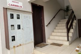 img-7113.jpeg
