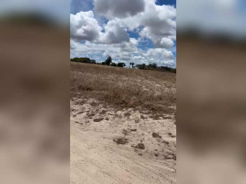 imóvel com 1000m² - Centro - Caetes