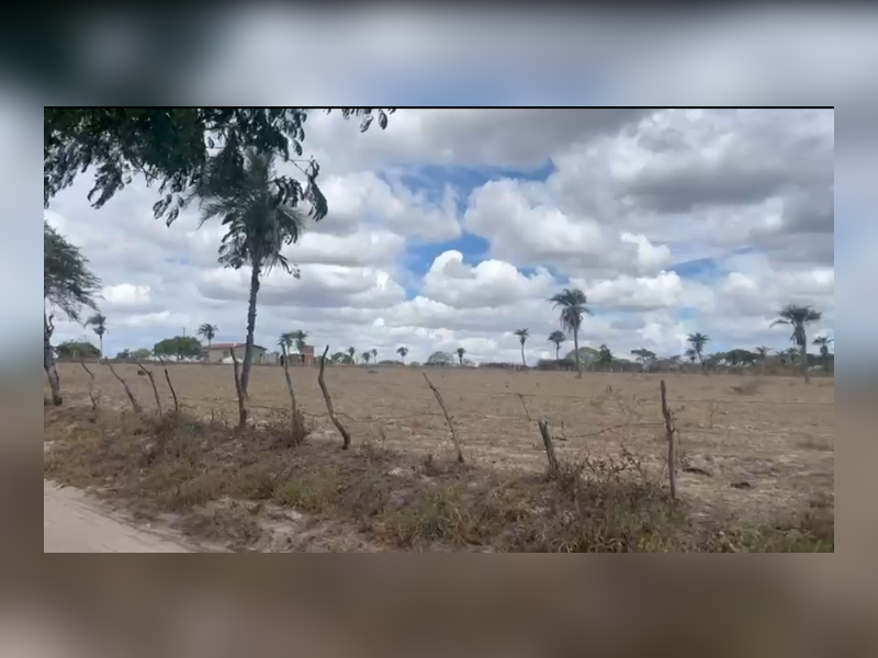 imóvel com 1000m² - Centro - Caetes