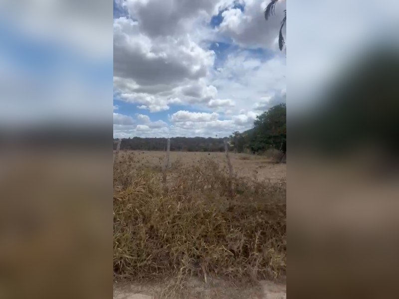 imóvel com 1000m² - Centro - Caetes