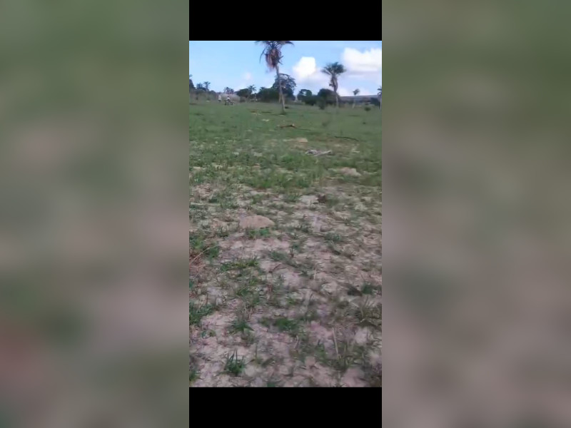 imóvel com 1000m² - Centro - Caetes
