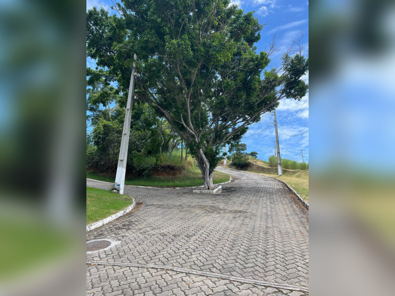 imóvel com 693m² - Jardim Atlântico Oeste (Itaipuaçu) - Maricá