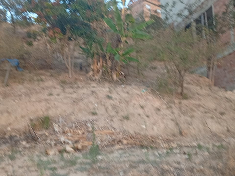 imóvel com 250m² - Capitão Eduardo (Bairro Montes Claros) - Belo Horizonte