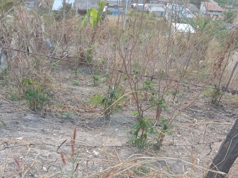 imóvel com 250m² - Capitão Eduardo (Bairro Montes Claros) - Belo Horizonte