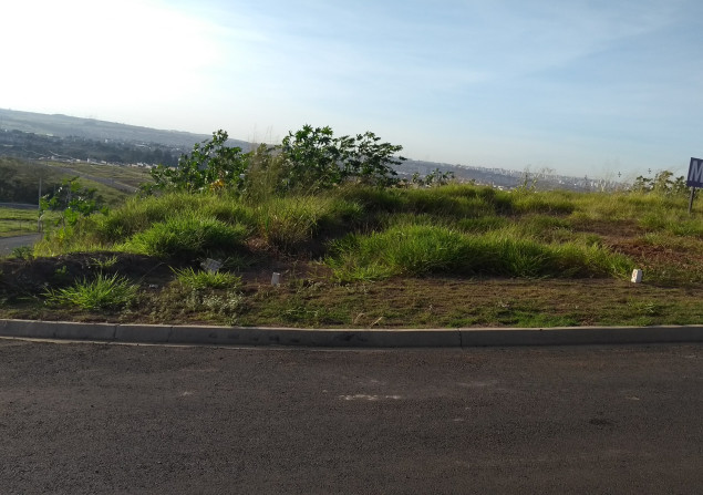 imóvel com 257m²