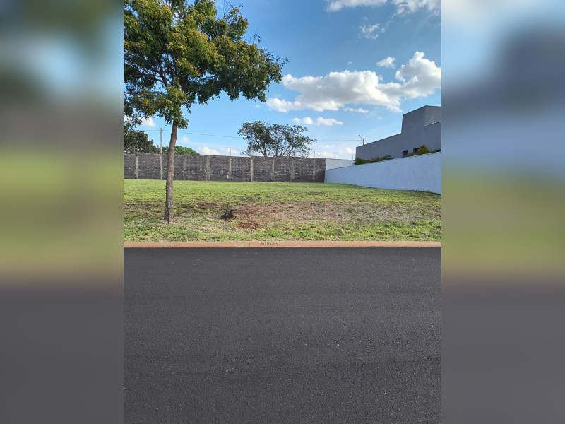 imóvel com 462m² - Quintas de São José - Ribeirão Preto