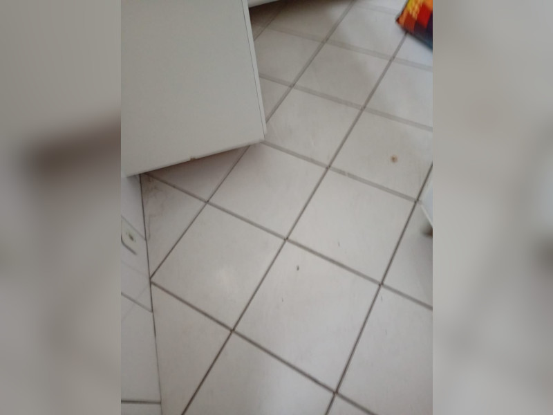 imóvel com 50m² - Conjunto Habitacional Presidente Castelo Branco - Carapicuiba