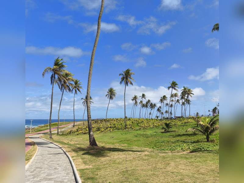 imóvel com 110m² - Jardim Armação - Salvador