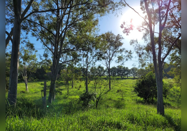 imóvel com 120m²