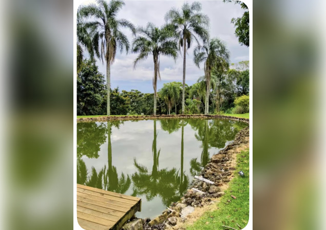 imóvel com 10000m²