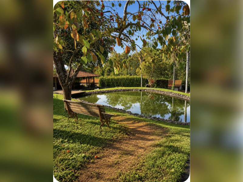 imóvel com 10000m² - Pavão (Canguera) - São Roque