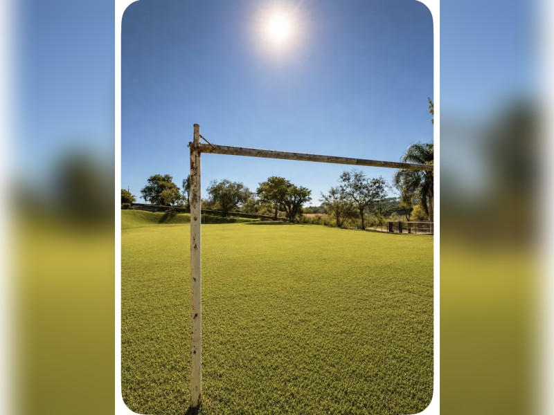 imóvel com 10000m² - Pavão (Canguera) - São Roque