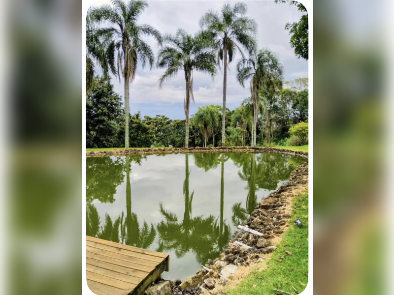 imóvel com 10000m² - Pavão (Canguera) - São Roque