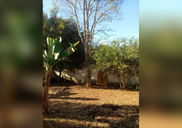 imóvel com 800m²