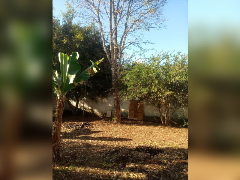 imóvel com 800m² - Centro - Brasília