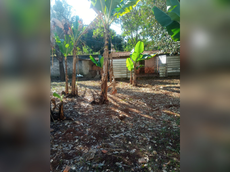 imóvel com 800m² - Centro - Brasília