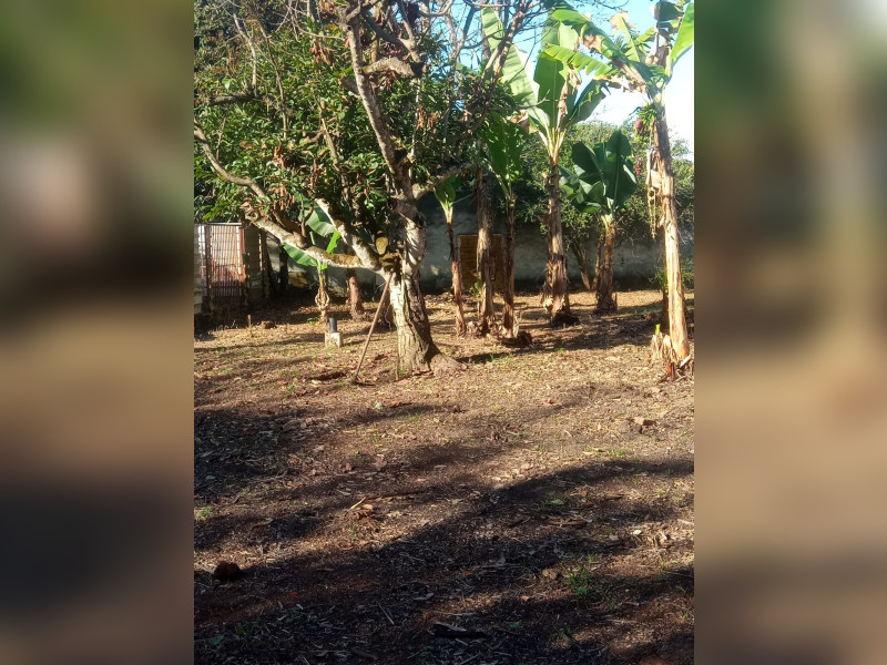 imóvel com 800m² - Centro - Brasília