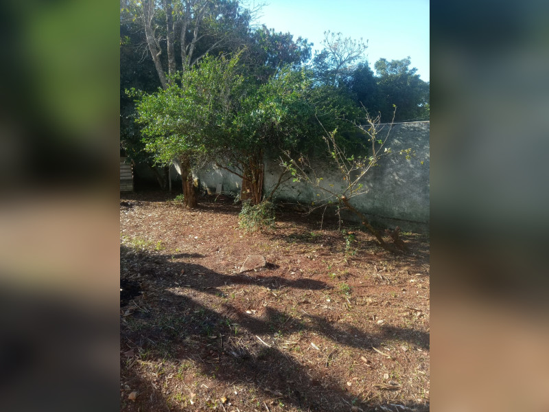 imóvel com 800m² - Centro - Brasília
