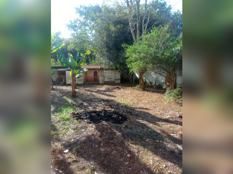 imóvel com 800m² - Centro - Brasília
