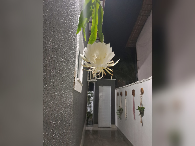 imóvel com 65m² - Várzea das Mocas - São Gonçalo
