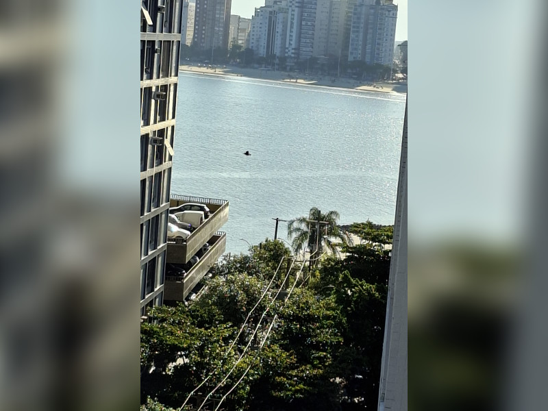 imóvel com 104m² - Itararé - São Vicente