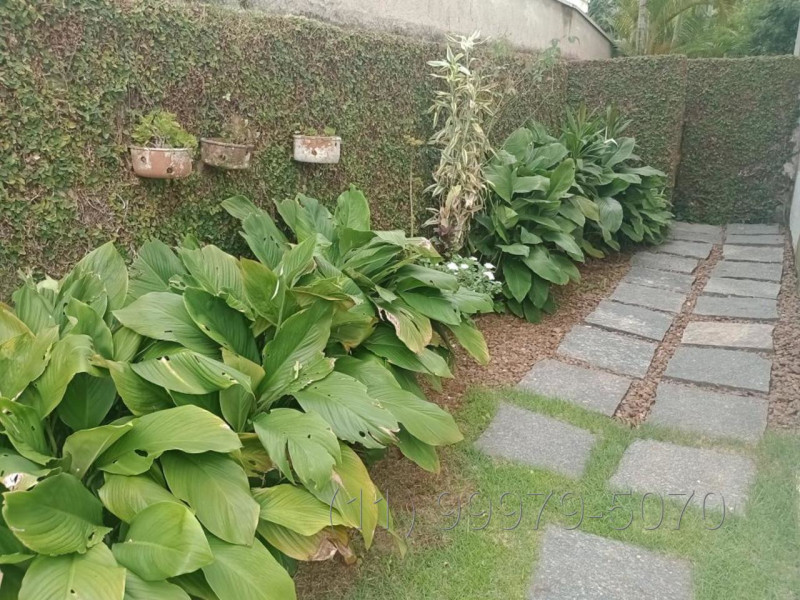 imóvel com 398m² - Jardim Albatroz - Bertioga