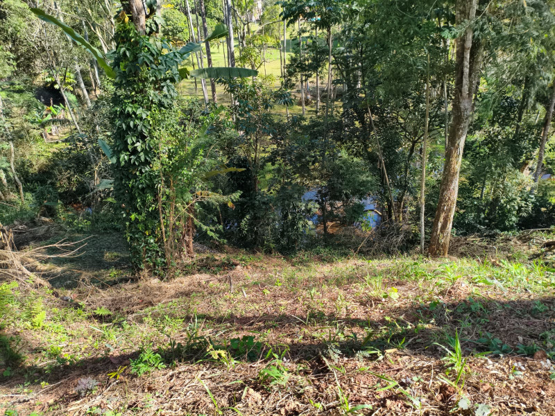 imóvel com 1719m² - Chácaras Reunidas Canadá - Santa Isabel