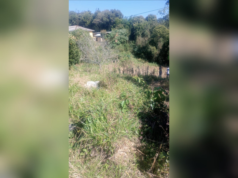 imóvel com 1100m² - Pacotuba - Almirante Tamandaré