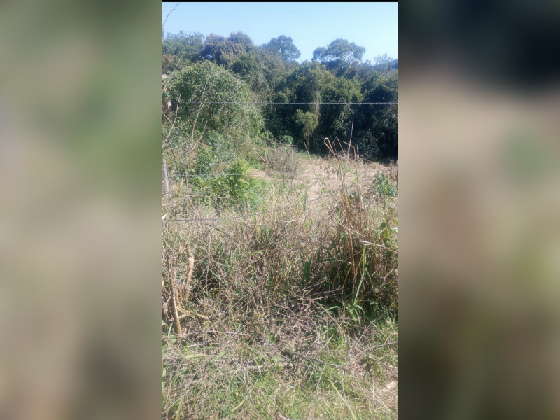 imóvel com 1100m² - Pacotuba - Almirante Tamandaré