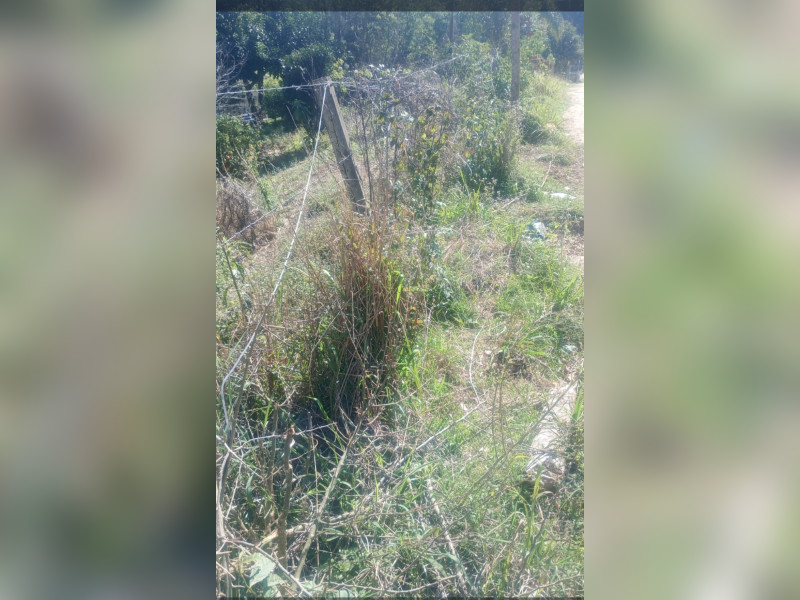 imóvel com 1100m² - Pacotuba - Almirante Tamandaré