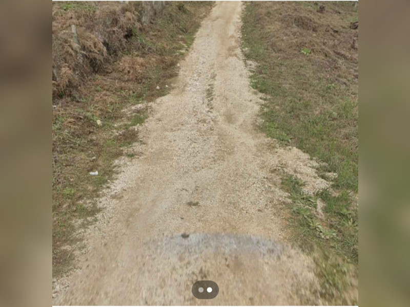 imóvel com 1100m² - Pacotuba - Almirante Tamandaré