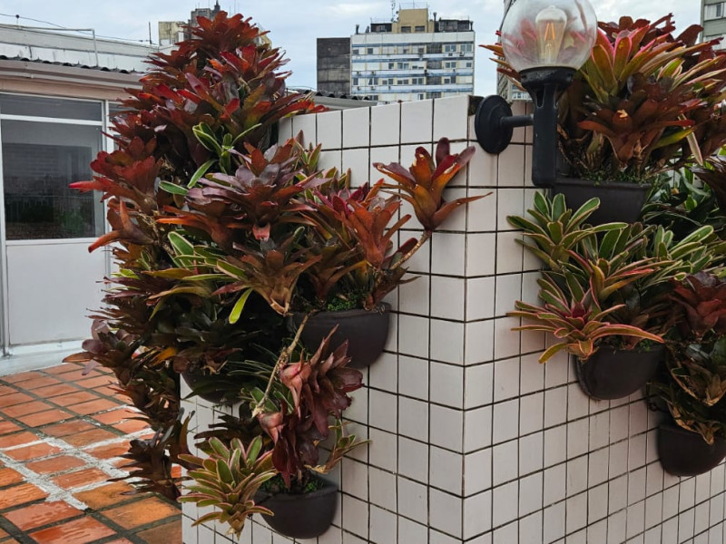 imóvel com 31m² - Centro Histórico - Porto Alegre