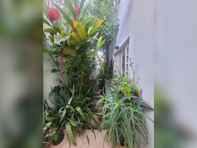 imóvel com 190m² - Vila Morse - São Paulo