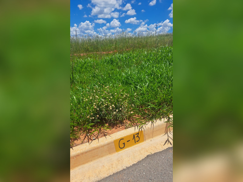 imóvel com 200m² - Iperozinho - Capela do Alto