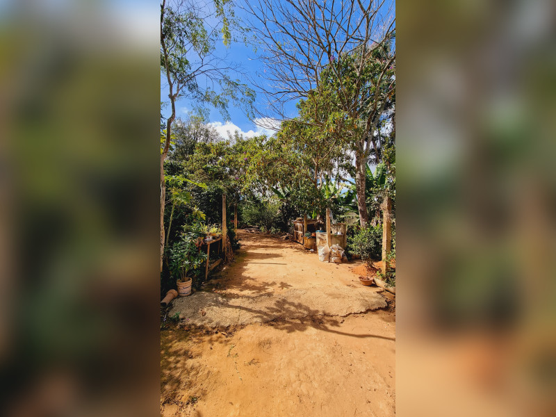 imóvel com 46464m² - Centro - Fervedouro