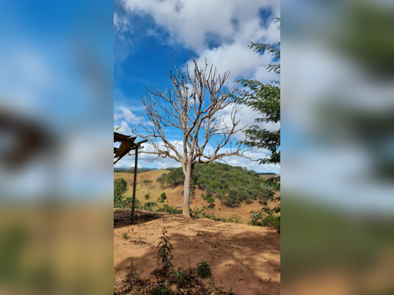 imóvel com 46464m² - Centro - Fervedouro