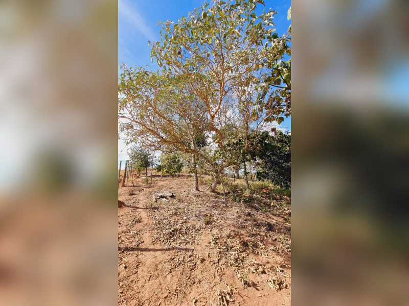 imóvel com 46464m² - Centro - Fervedouro