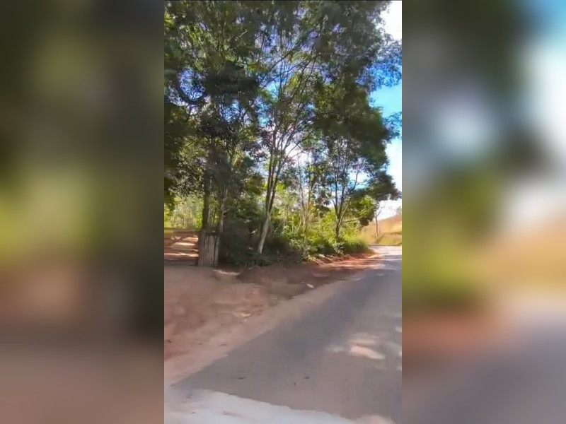imóvel com 46464m² - Centro - Fervedouro