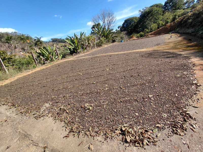 imóvel com 46464m² - Centro - Fervedouro