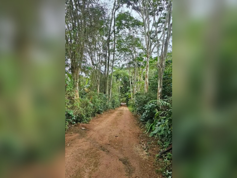 imóvel com 46464m² - Centro - Fervedouro