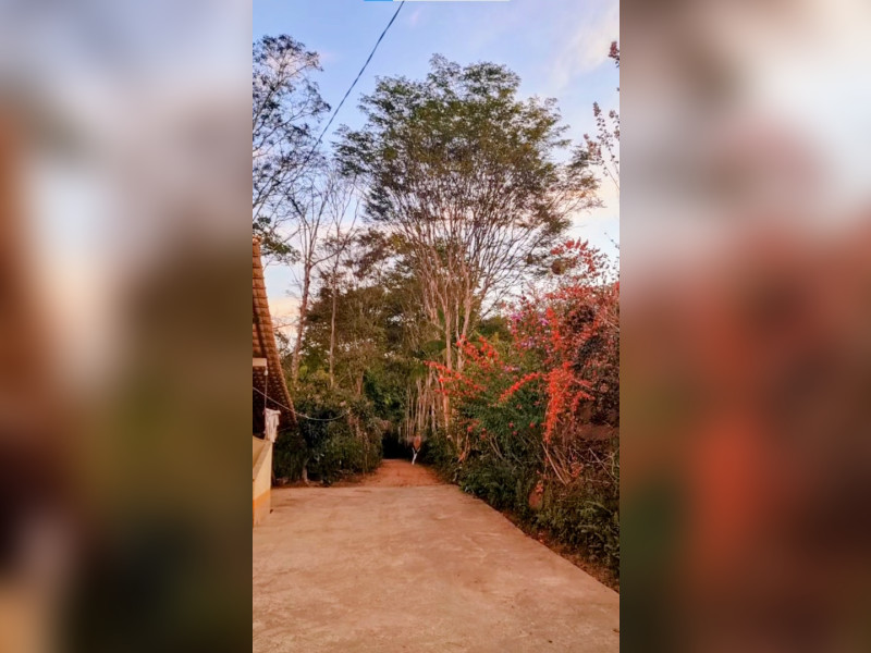 imóvel com 46464m² - Centro - Fervedouro