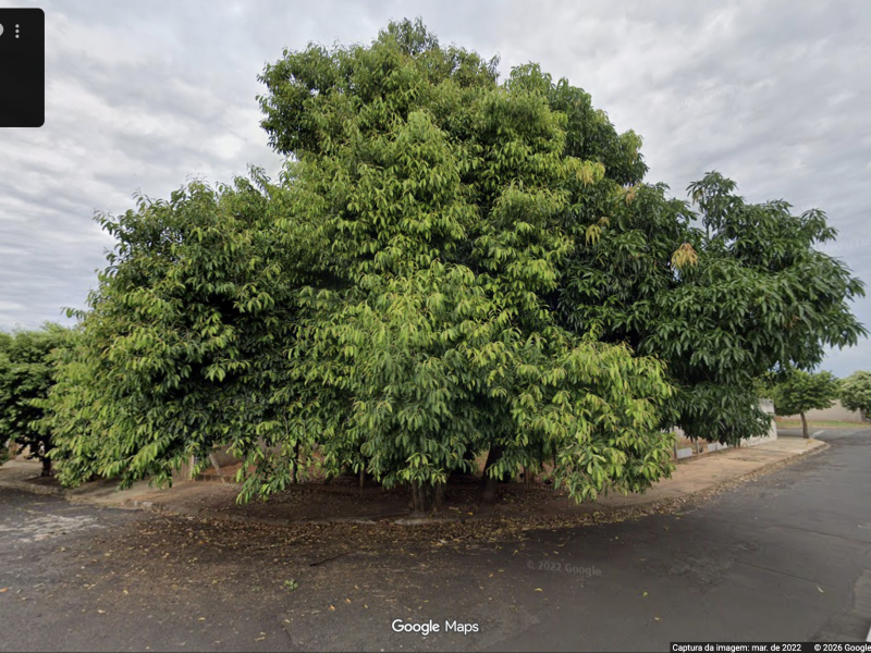 imóvel com 295m² - Parque das Aroeiras II - São José do Rio Preto