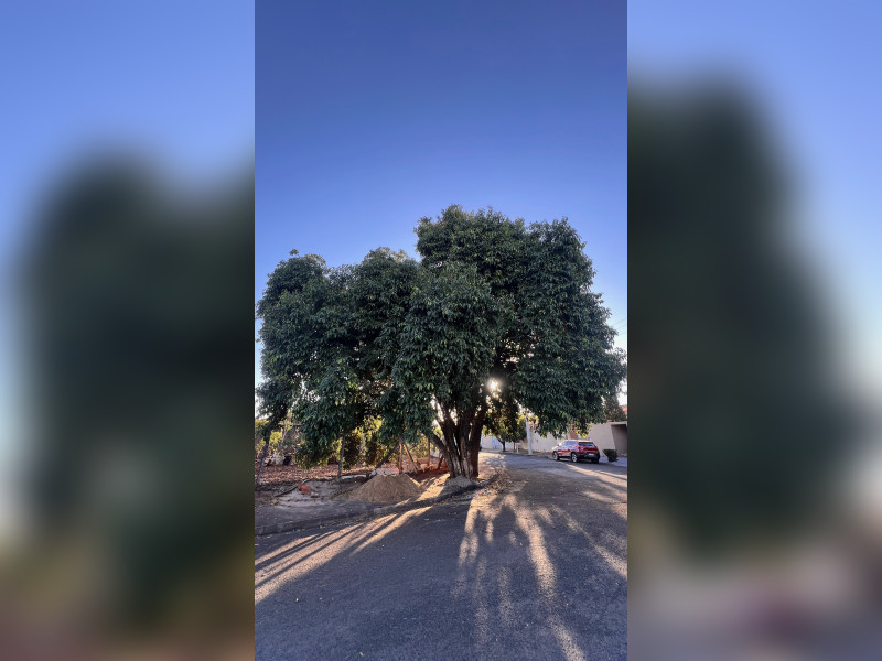 imóvel com 295m² - Parque das Aroeiras II - São José do Rio Preto