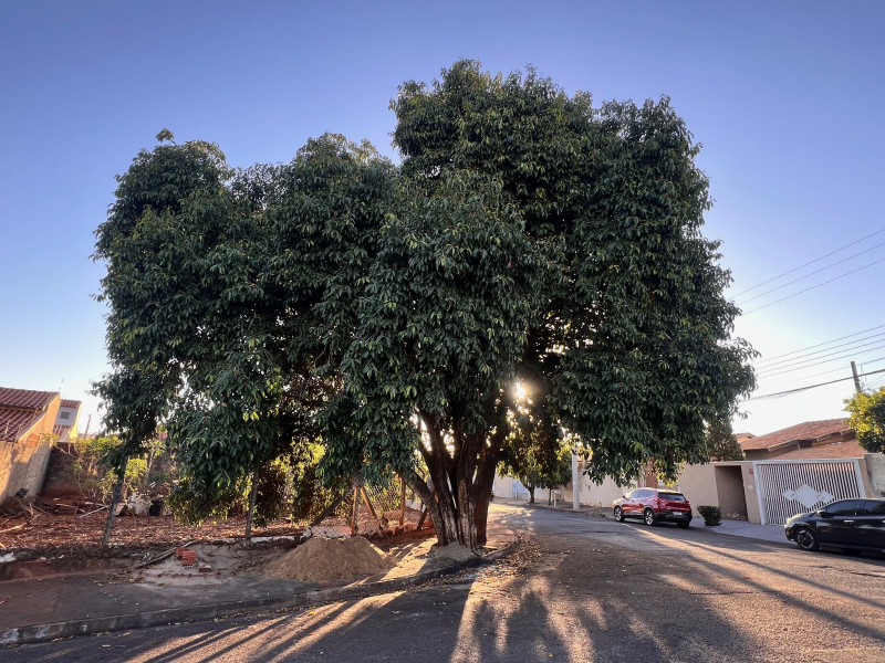 imóvel com 295m² - Parque das Aroeiras II - São José do Rio Preto