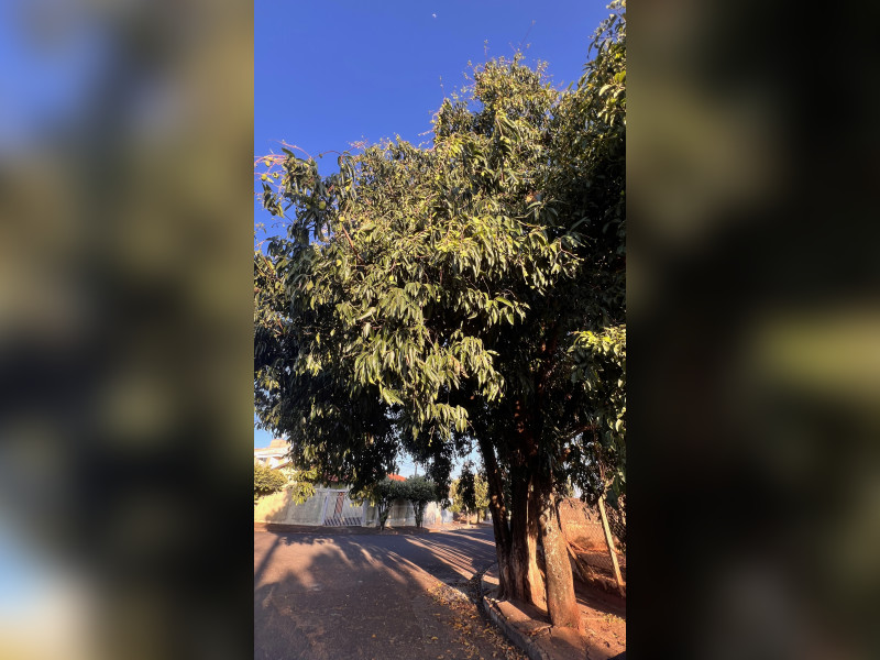 imóvel com 295m² - Parque das Aroeiras II - São José do Rio Preto