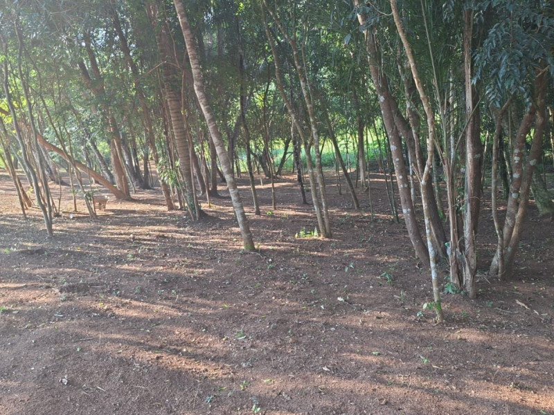 imóvel com 150m² - Quinta dos Angicos - Cotia