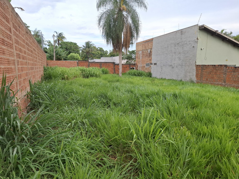 imóvel com 387m² - Vila Morumbi - Campo Grande