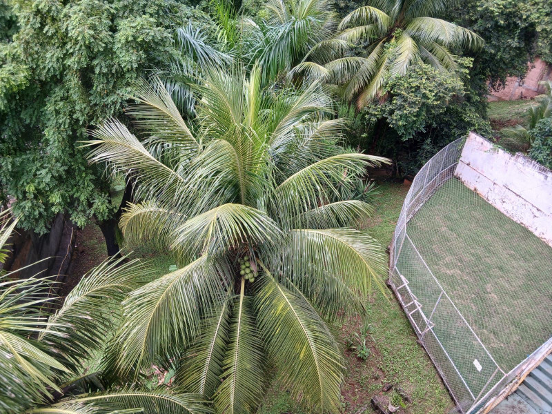 imóvel com 82m² - federacao - Salvador