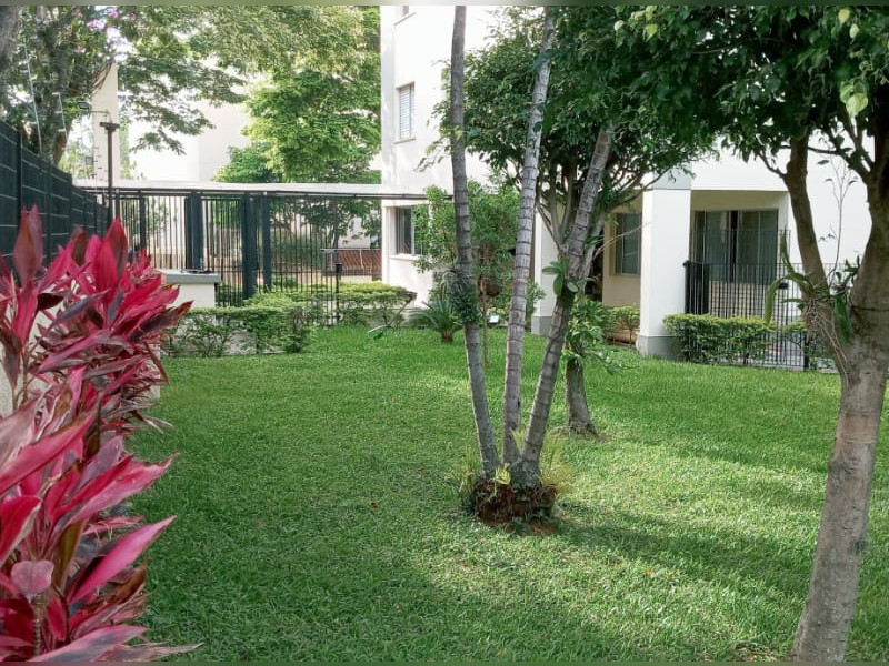 imóvel com 72m² - Vila Amélia - São Paulo