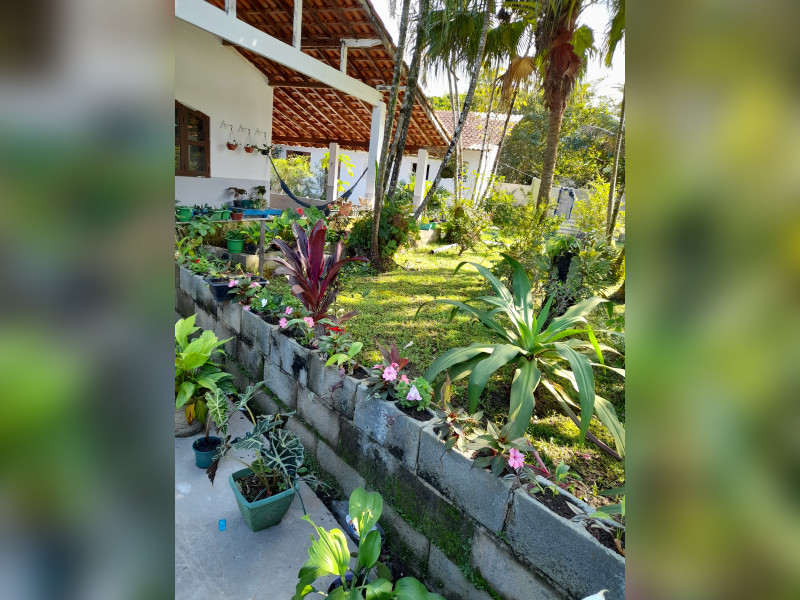 imóvel com 1260m² - Jamaica (Interior) - Itanhaém